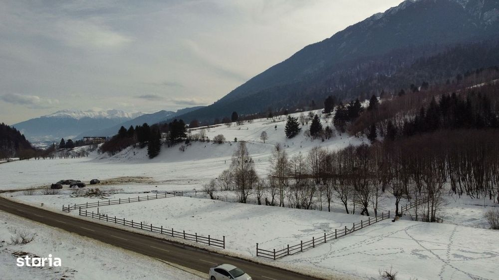 Teren De Vânzare – Zărnești / Plaiul Foii – La Asfalt - 2400 Mp