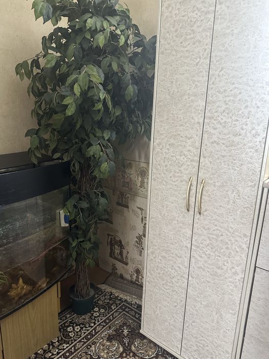 Дерево декоративное