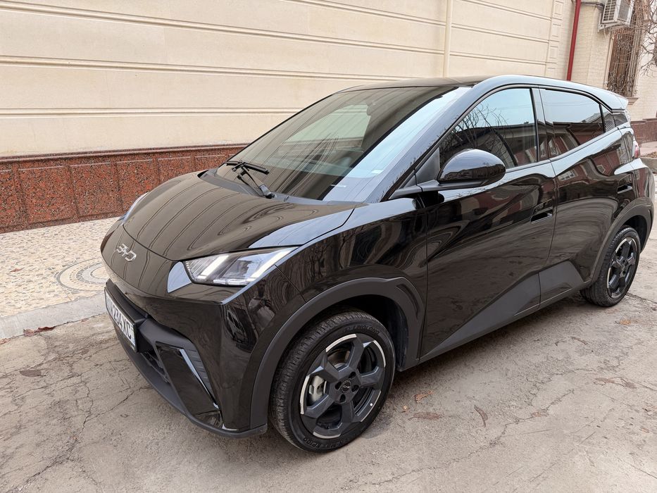 Ўзимники Byd Seagull