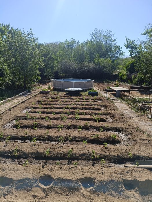 Продам дачу улица виноградная 37