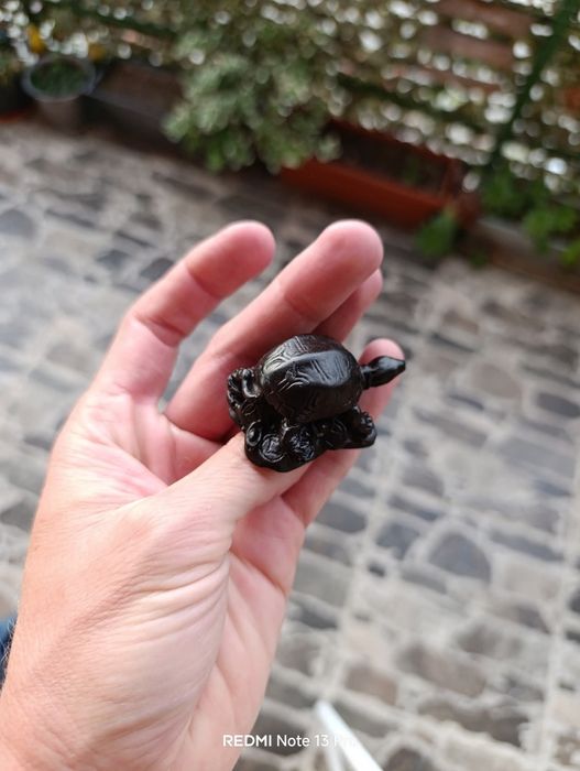 Малки костенурки