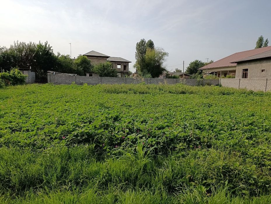 Участок 6 соток  Янгихаёт