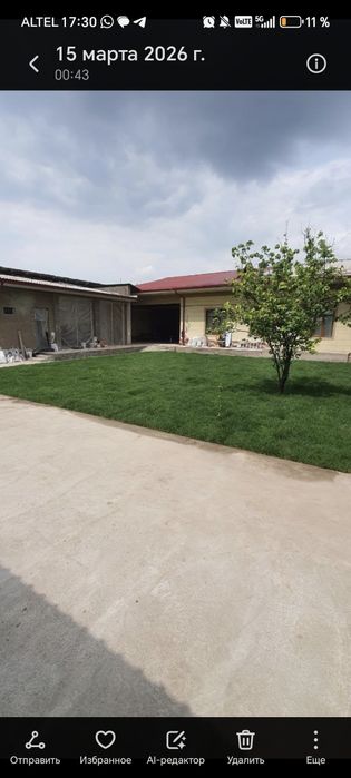 Газон рулонный Афтопалив