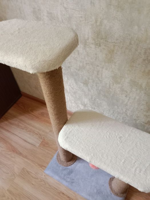 Когтиточку  для кошек