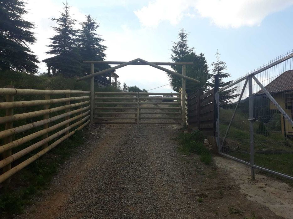 Stalpi rotunzi pentru gard din lemn tratat