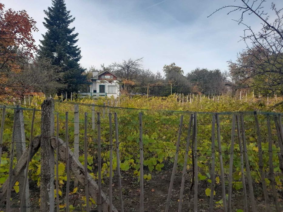 Продава се Къща в Плевен, Индустриална зона - Запад - 20 кв.м за 600 €/кв.м - Снимка #7