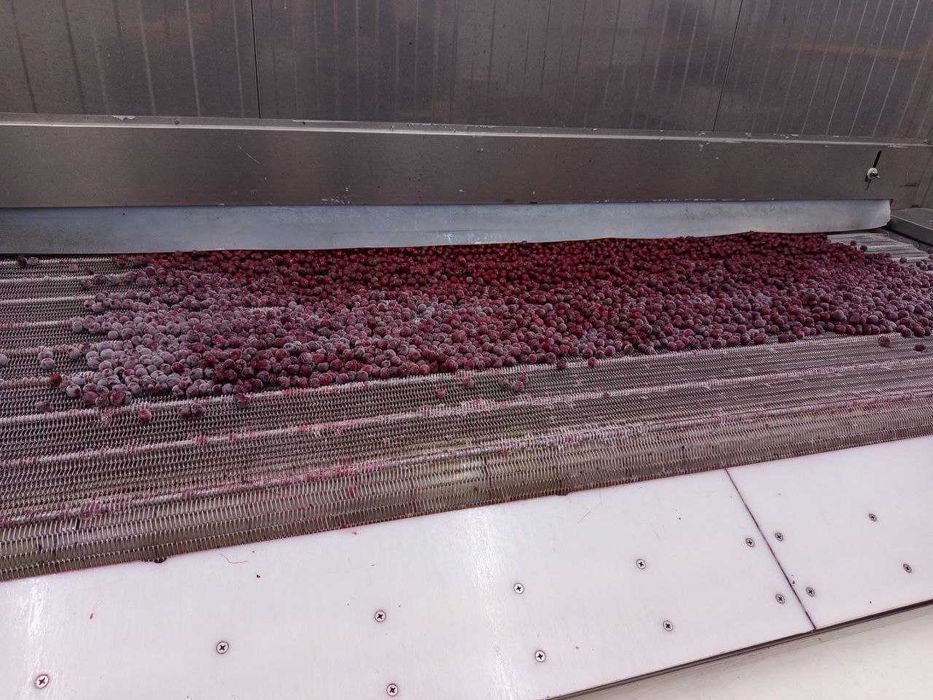 Музлатилинган олча замороженная Вишня