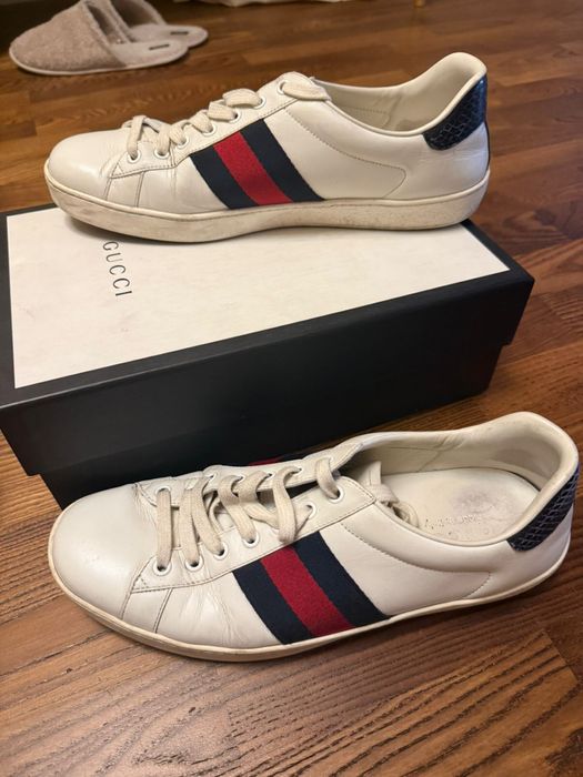 Gucci Ace кроссовки