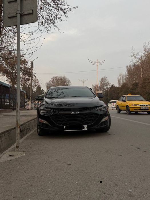 Malibu 2xl qora kraska tozza masla