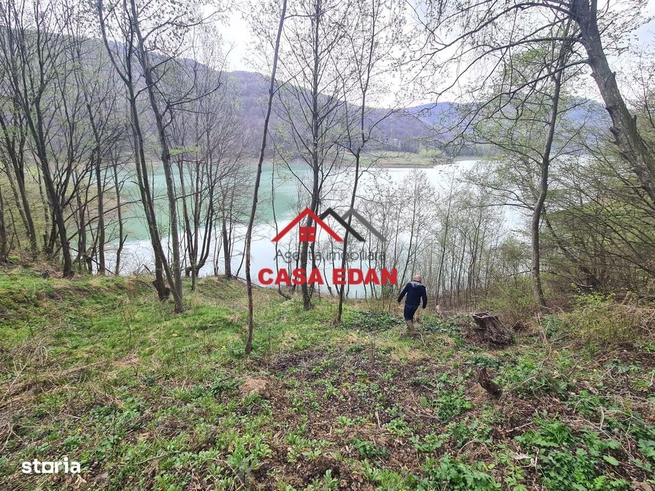 Teren intravilan in Valea Doftanei - Parajul Paltinu--1000 mp--120e