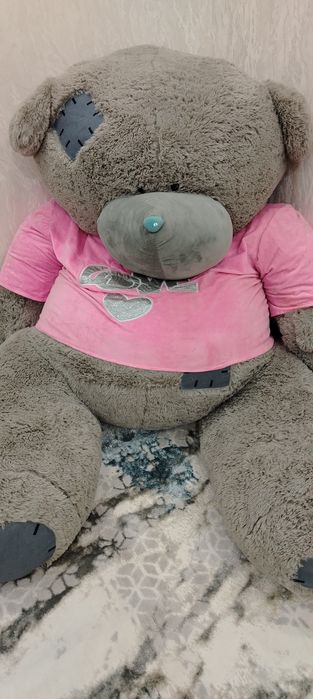 Котта ТЕДДИ сотувда буйи 2м