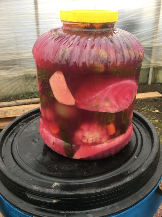 Muraturi asortate in saramura