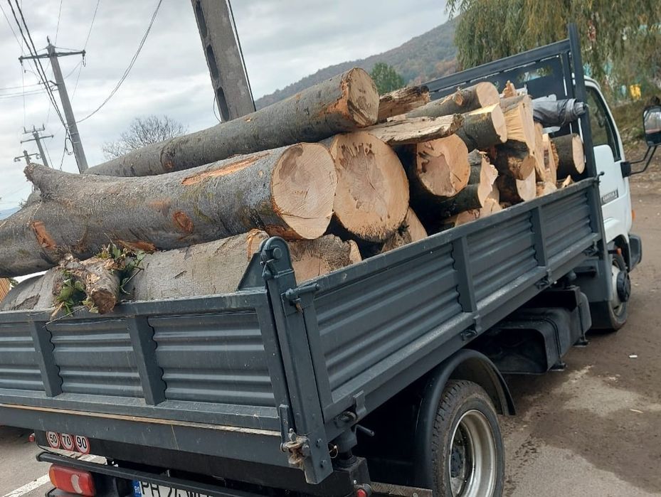 Aduc lemne de foc și balastru