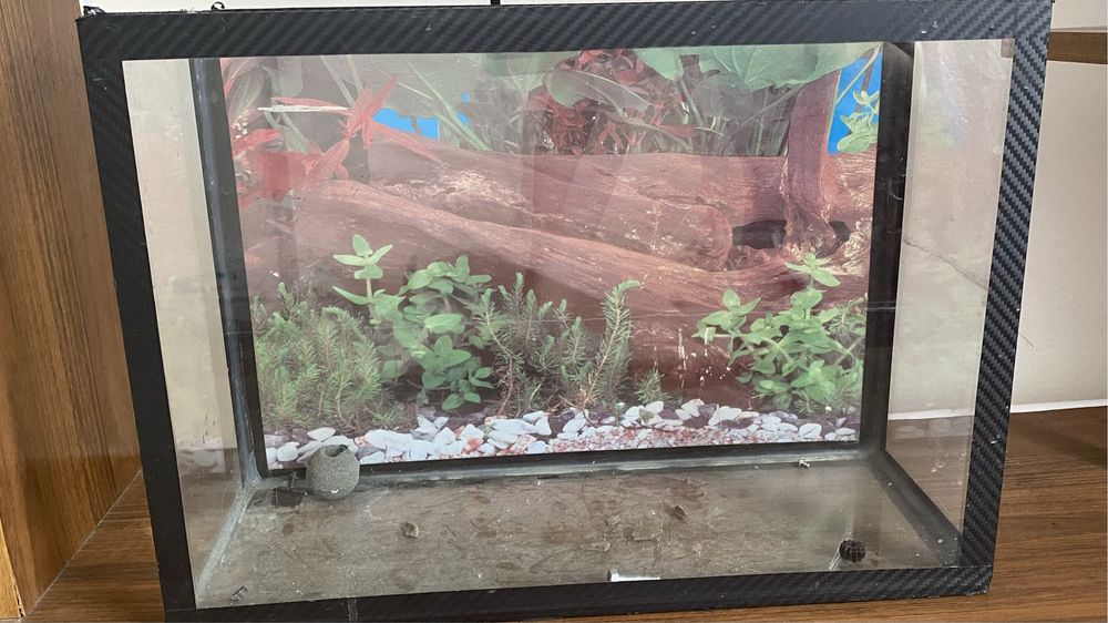 Продам аквариум