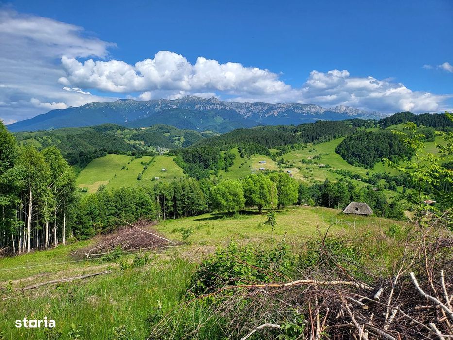 Teren 3 ha Moieciu de Jos | Drumul Carului I Panoramă | Utilitati