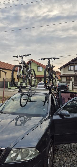Bare tranversale thule