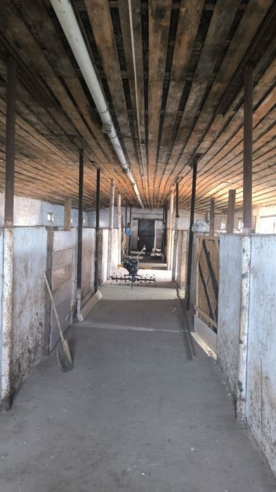 Продается ЛПХ с базой и теплицами.