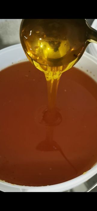 Miere Floarea Soarelui  2026
