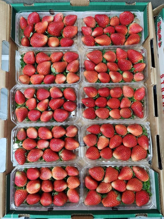 Египетская клубника