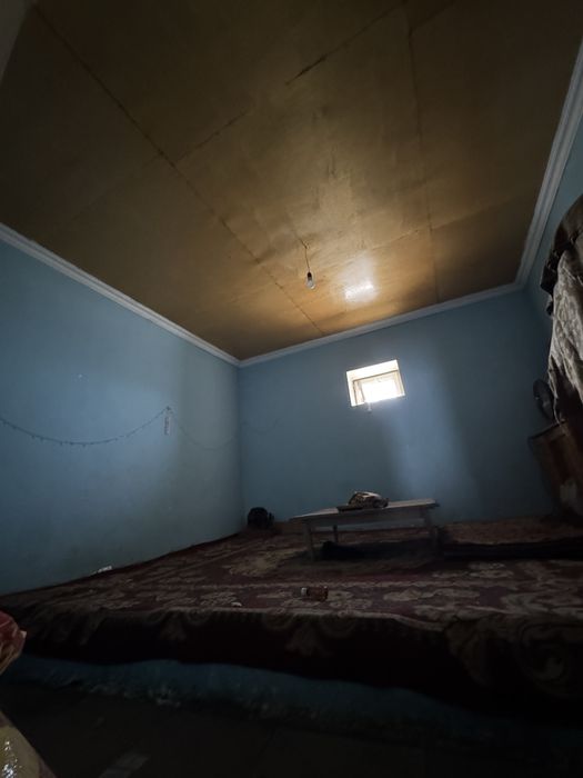 arzon narxda ferma sotiladi samarqand yangi ariqda