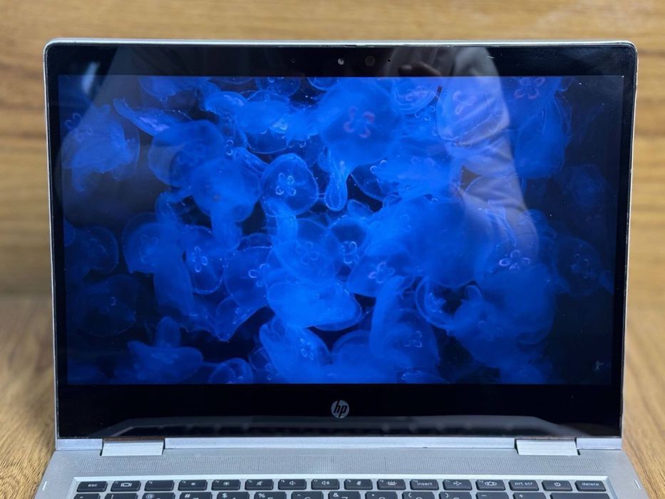 HP ProBook x360 G8