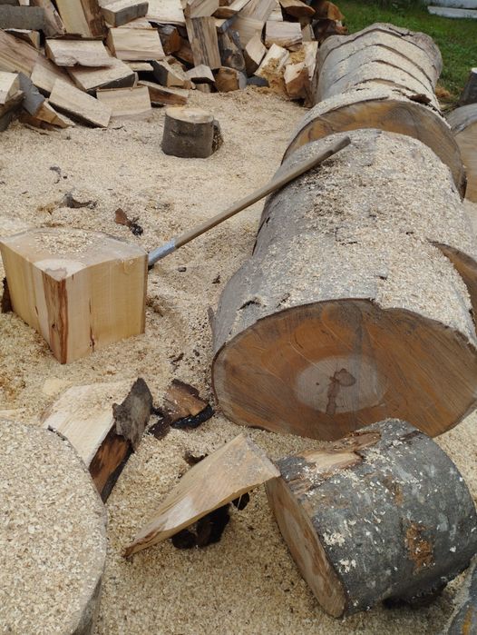 Lemne de foc fag capete uscate sau verzi 600.lei tona