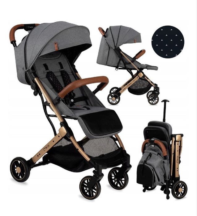 Carut tip troller pliabil pentru avion Momi