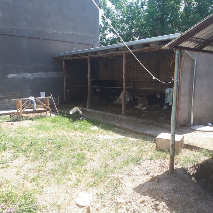 4 Сотих ховли сотилади.