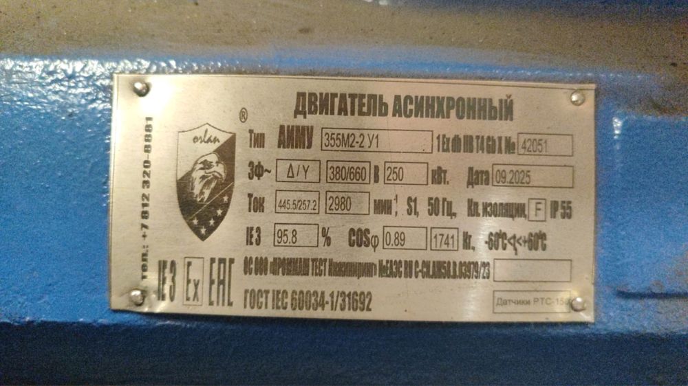 Электродвигатель ВЗИ 250х3000