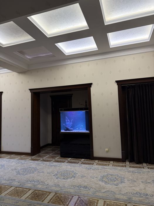 Профессиональная чистка и обслуживание аквариумов