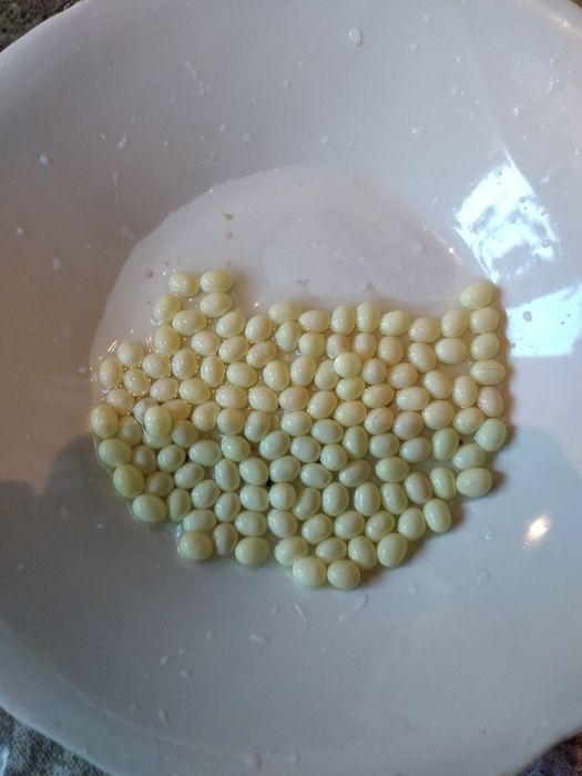 Свежие яица улиток