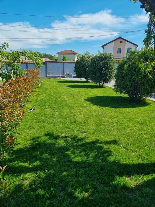 Amenajari spații verzi/Peisagistică