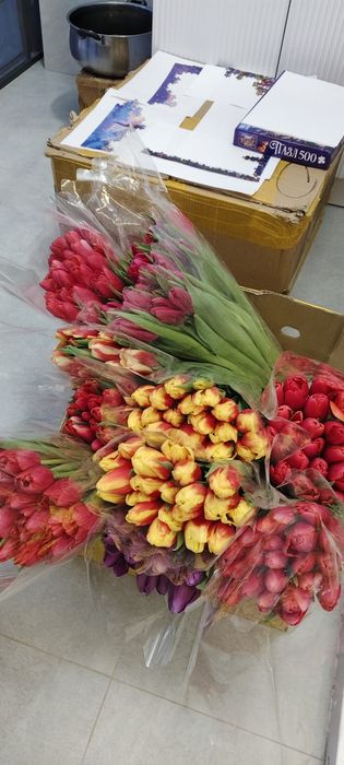 Тюльпаны, цветы, букеты на 8е марта