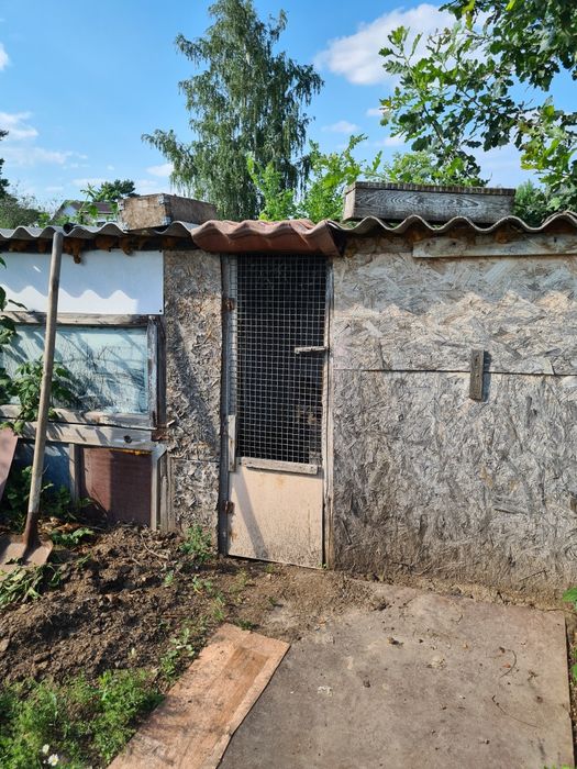 Продам дачу в дачном обществе Ромашка