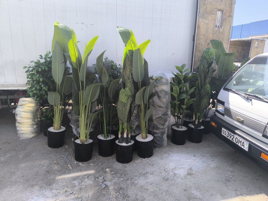 Искусственный деревя декоративные