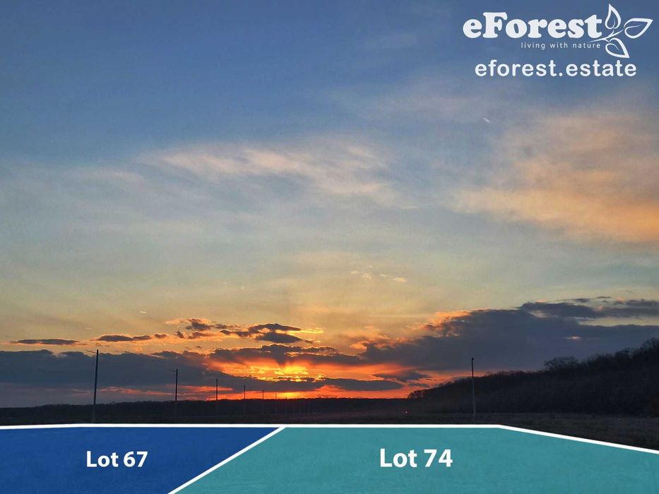 Teren intravilan Crevedia – loturi de teren lângă Pădurea Lucianca, eForest