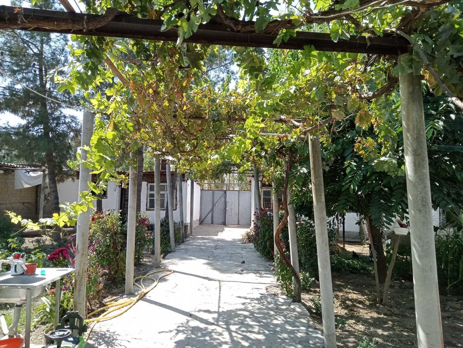 Yu  Дом 5 комнат, участок 6,8 соток, Йик ота