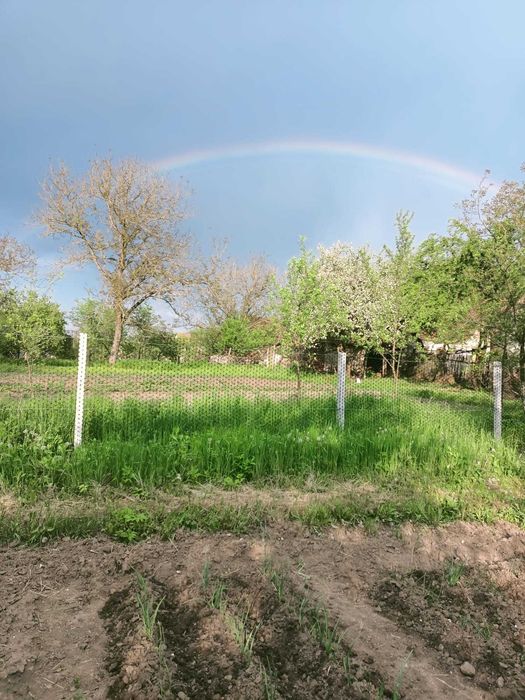 Casă de vânzare la țară – Căprioara, comuna Săvârșin, județul Arad