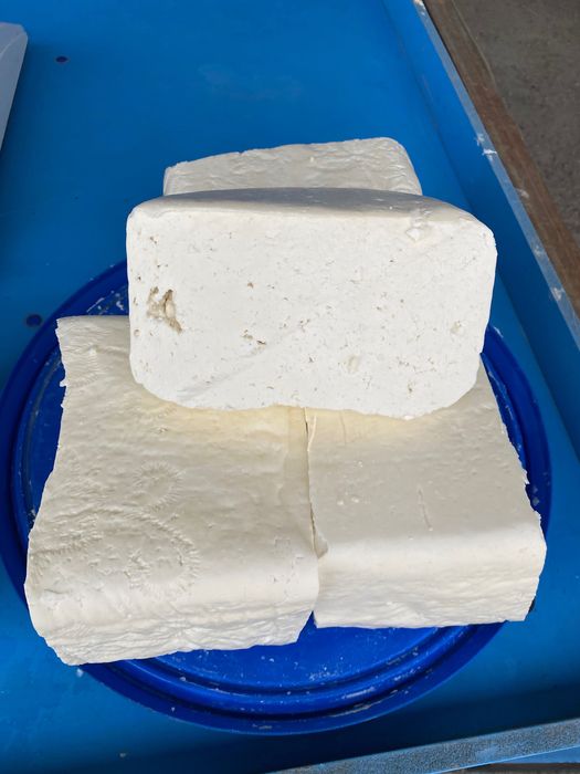 Branza de oaie cosmesti