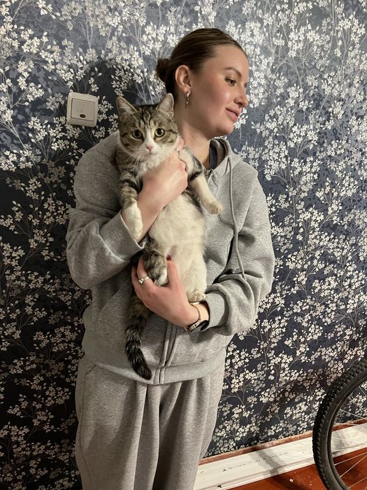 Кошечка ищет дом