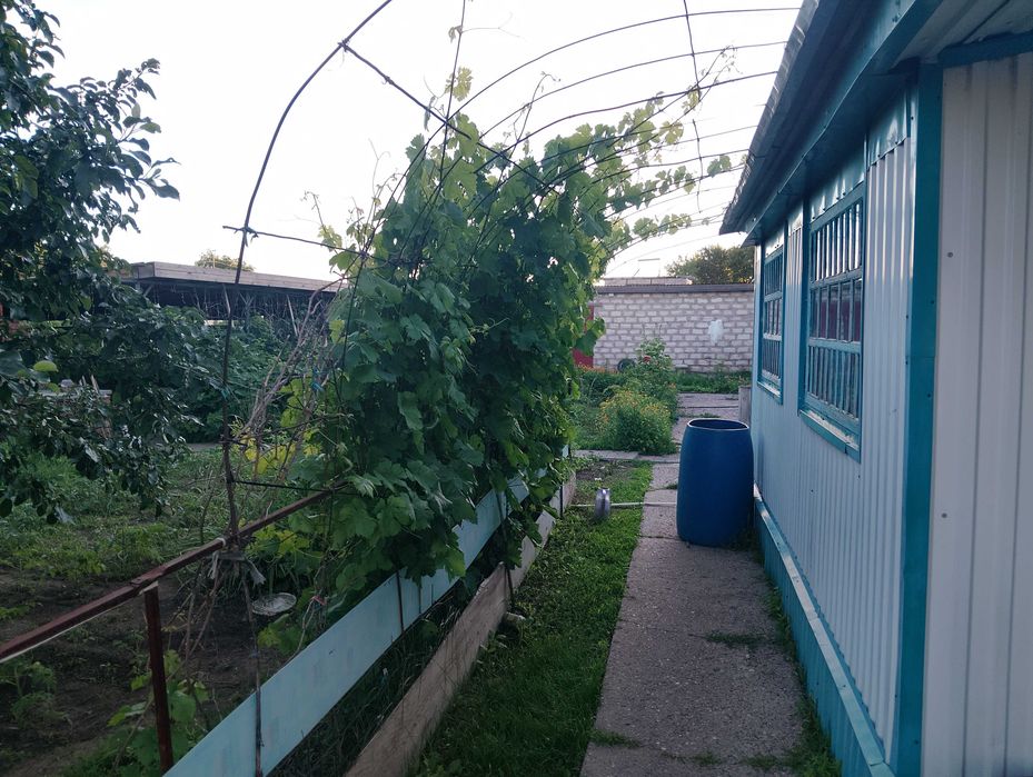 Продам дом поселок Курашасай