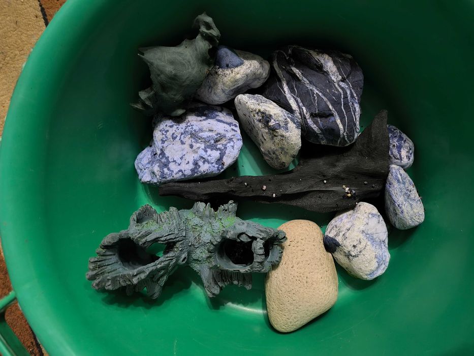 Аквариум с рыбами