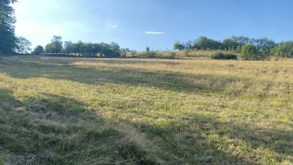 Vând teren extravilan