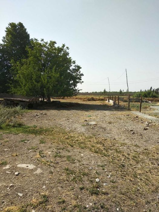 Хусусий ферма сотилади