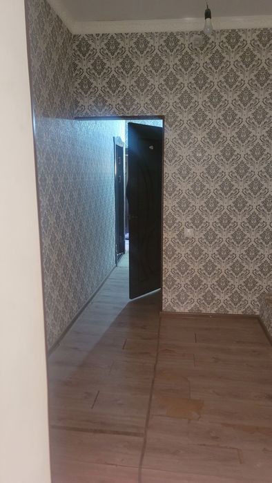 2 хонали Кора Камыш 1/1 Сой буи Ижара