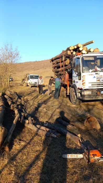 Lemne pentru foc !
