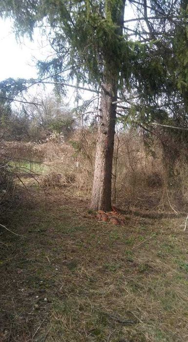 Продава се Парцел в с. Поцърненци, Област Перник - 660 кв.м за 29 €/кв.м - Снимка #3