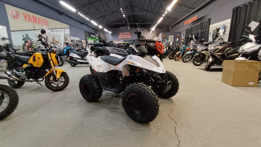 Atv copii Linhai 110 cu lumini Led -nou-0km- stoc EST BIKE Constanta