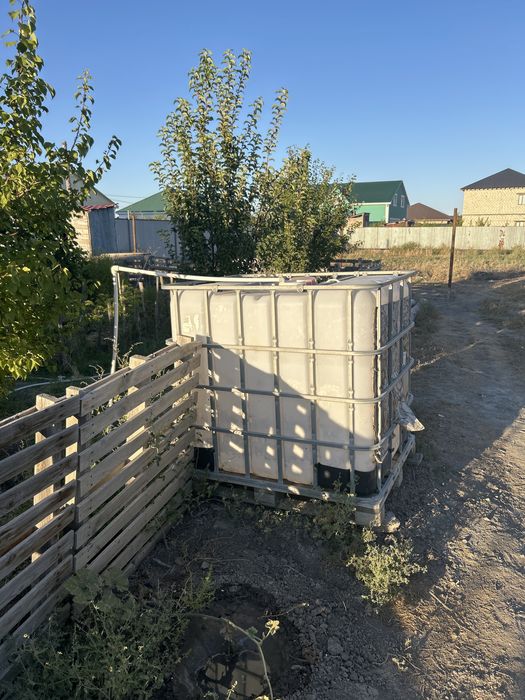 Продается тонник чистый