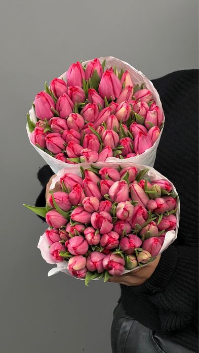 Тюльпаны оптом и